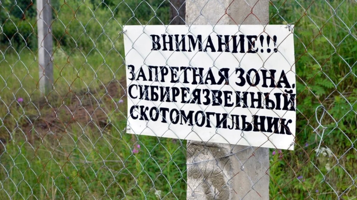 Могильники сибирской язвы вскрылись после наводнения в ЗКО