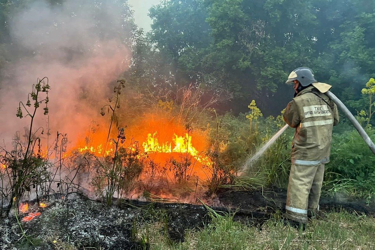 В Казахстане больше суток тушат пожар на территории природного резервата