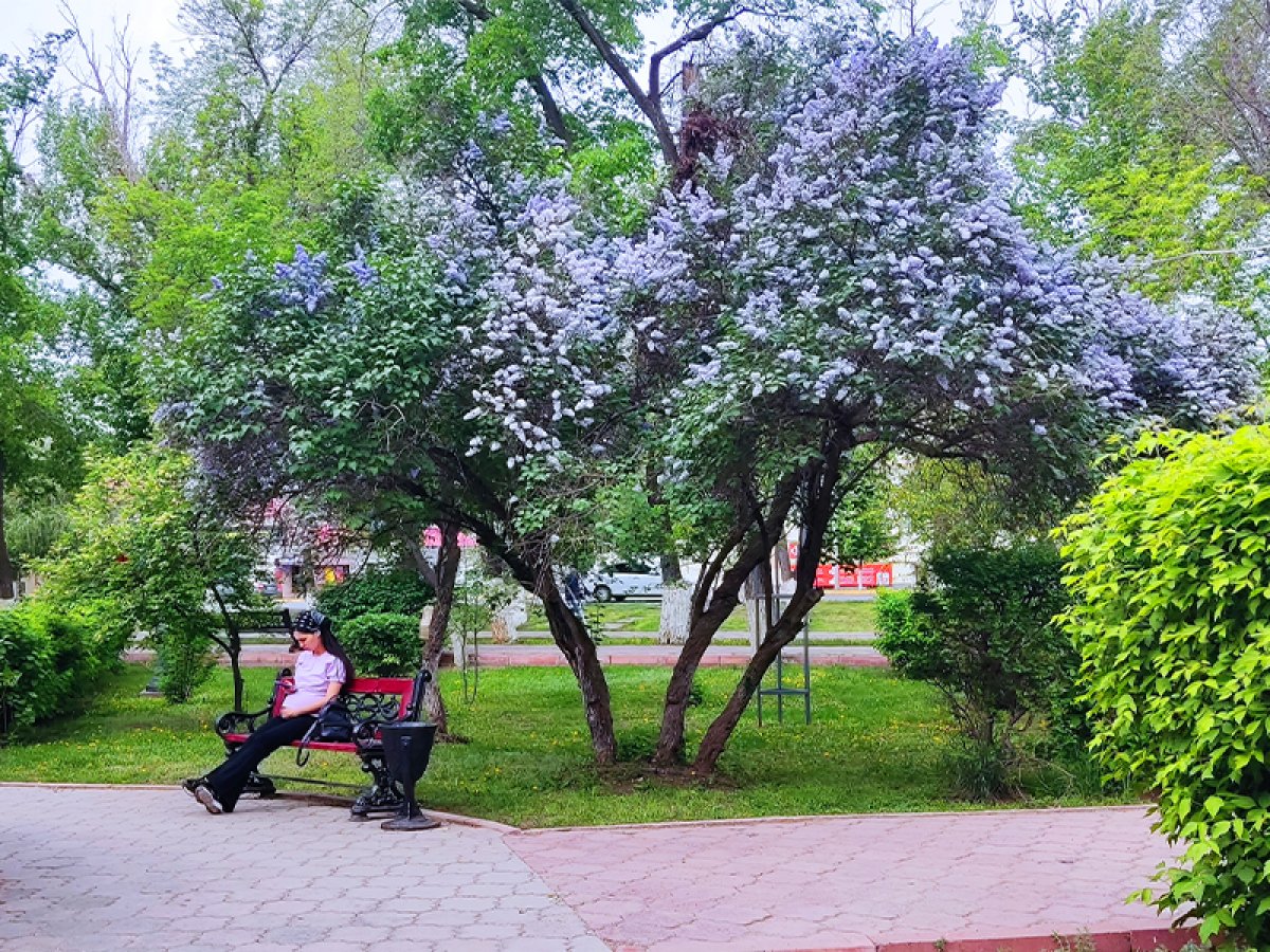 Какой будет погода в Казахстане в мае