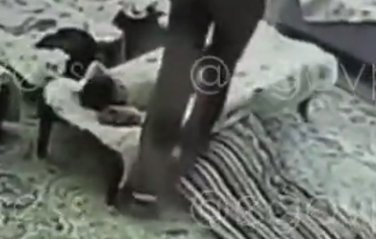 Видео шокировало Казнет: в Жетысу воспитатели избивали детей в садике