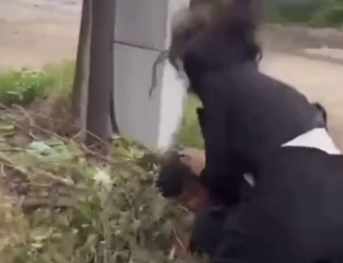 Выпускницы избили парня для видео в TikTok: девушек задержали
