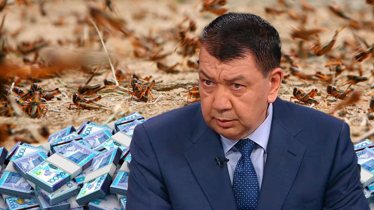 На борьбу с саранчой просят технику у крестьян