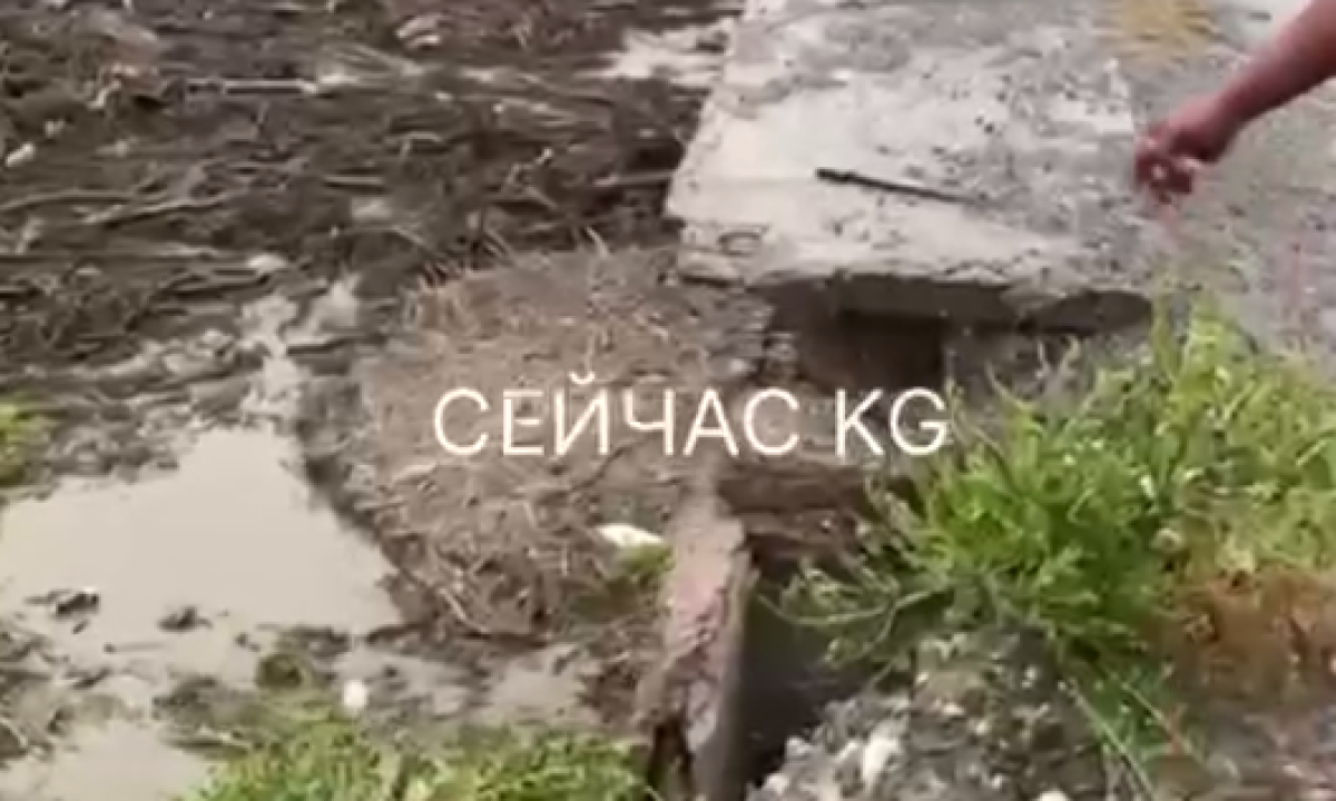 Есть погибшие: в Кыргызстане произошел сход селевых потоков