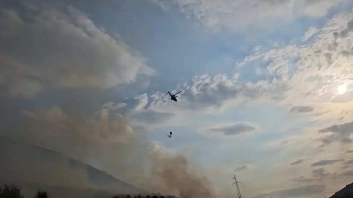 В Албании разгорелись лесные пожары