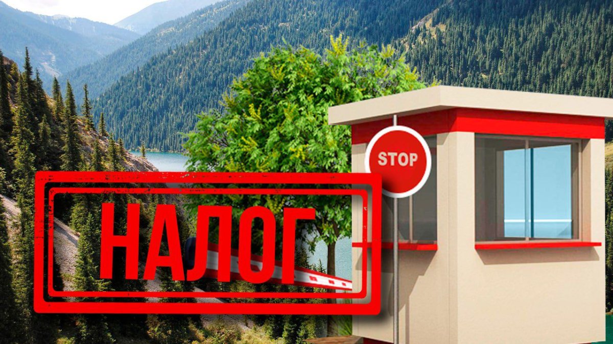 Исключили из Налогового кодекса: какая плата будет за использование ООПТ