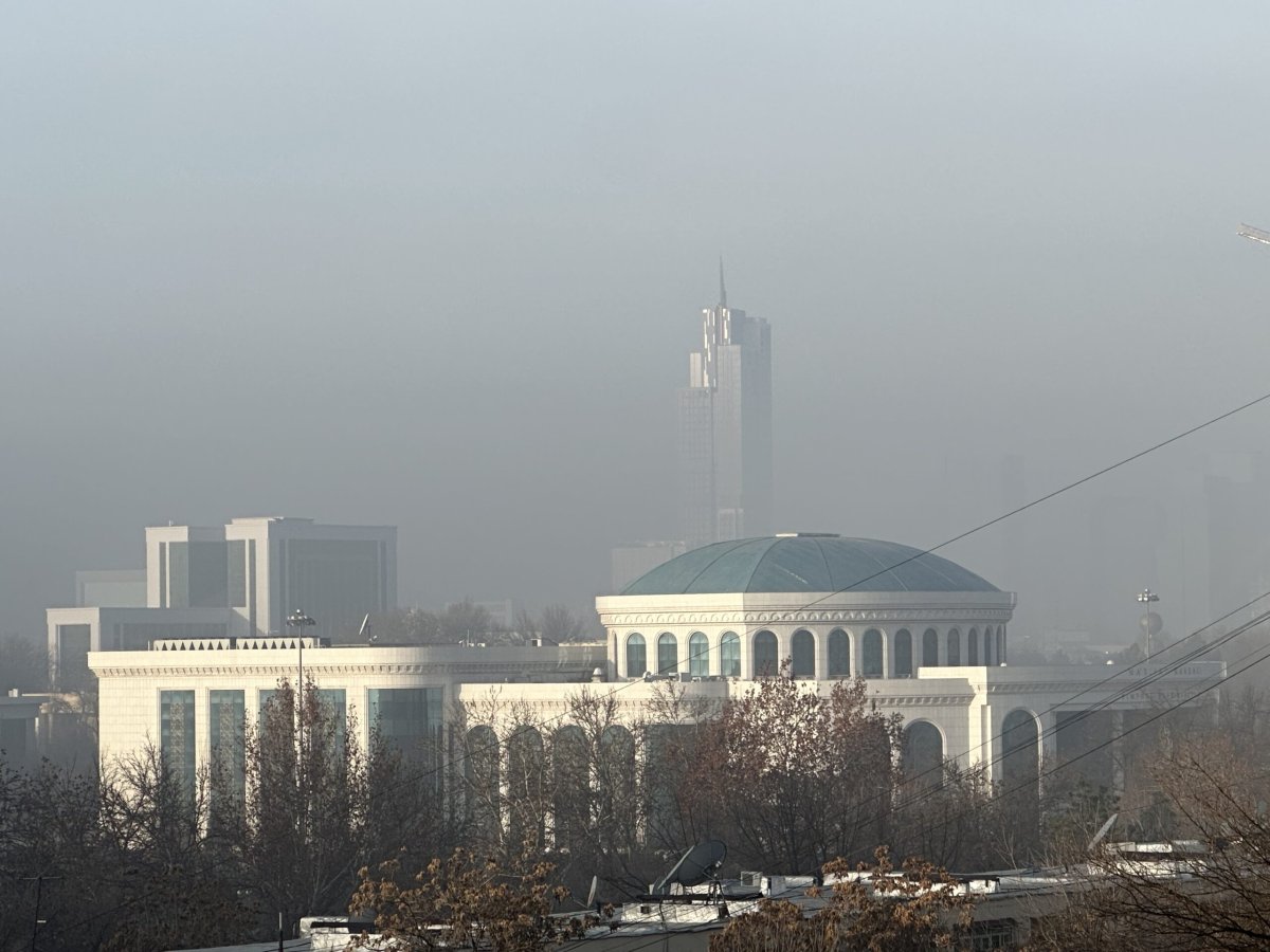 Электроэнергия, рейтинг "зелёных" городов: обзор узбекской прессы