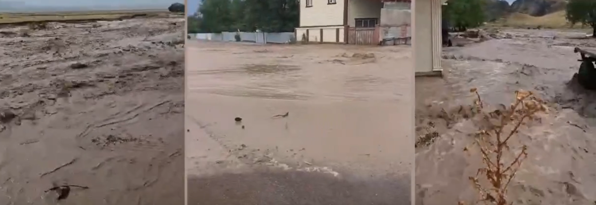 В Алматинской области грязевой поток затопил дома