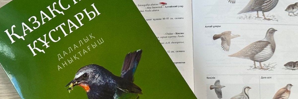 Полевой определитель птиц Казахстана на казахском языке представят в Алматы