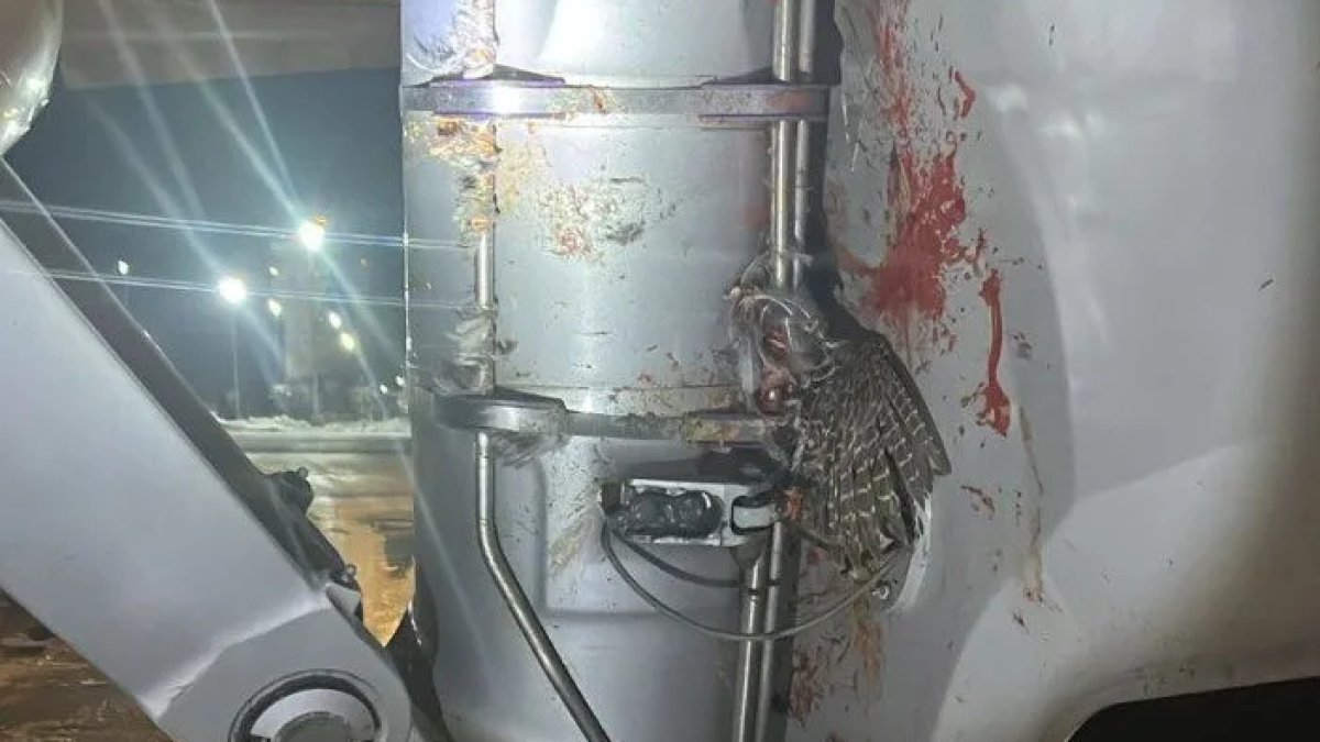 Самолет FlyArystan столкнулся с птицами при вылете из Уральска в Астану