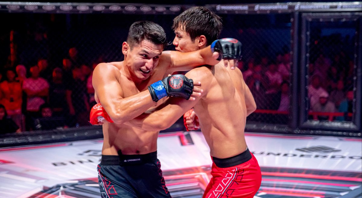 Бойкотировать казахстанскую лигу призвали в UFC