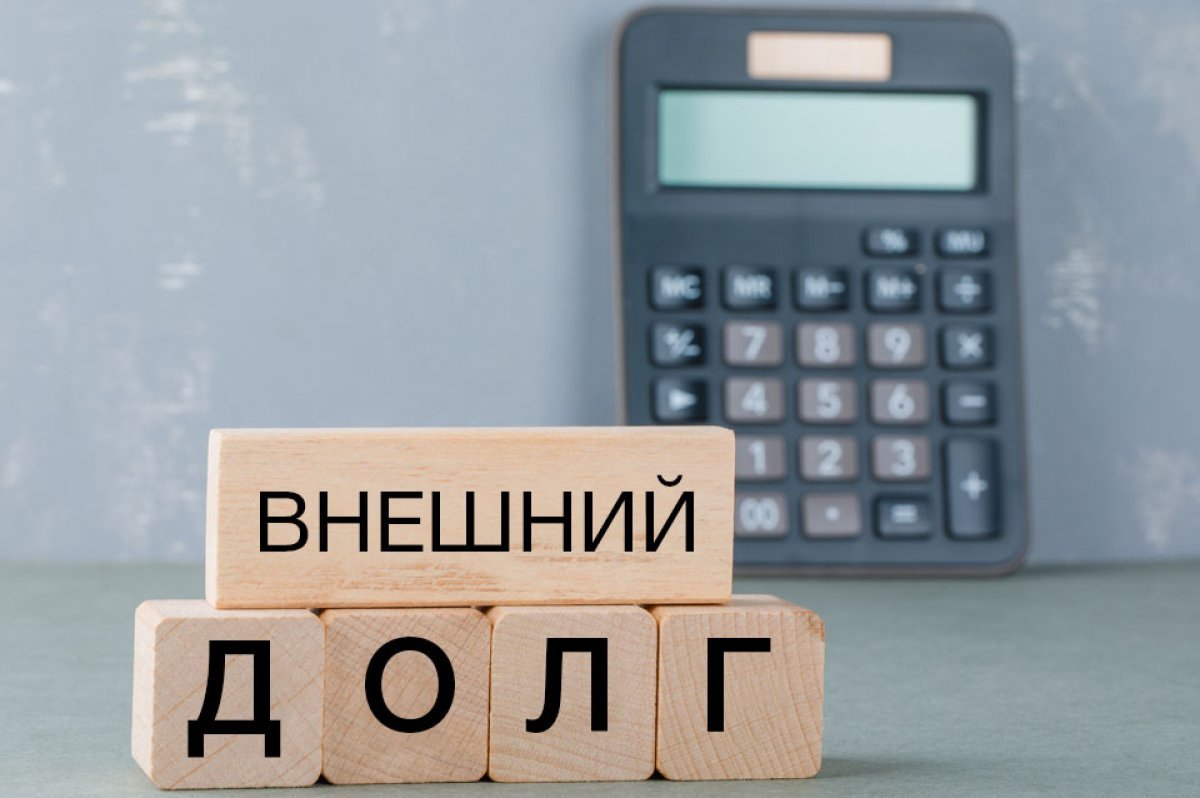 Заметный разрыв: внешний долг России и Казахстана назвали в ЕАЭС