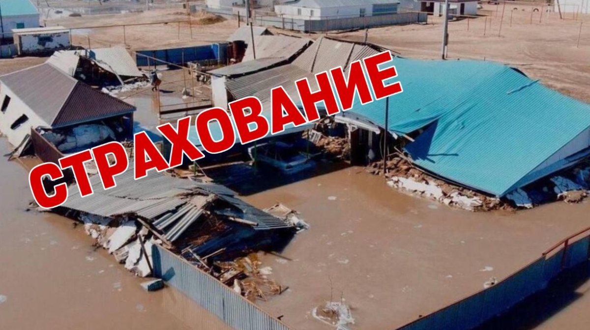 Страховая «обязаловка»: государство устало ждать пока рынок повзрослеет, а казахстанцы поумнеют