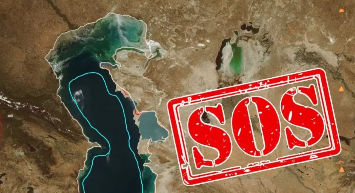 Обмеление Каспия: будет ли Казахстан платить России за воду из Волги