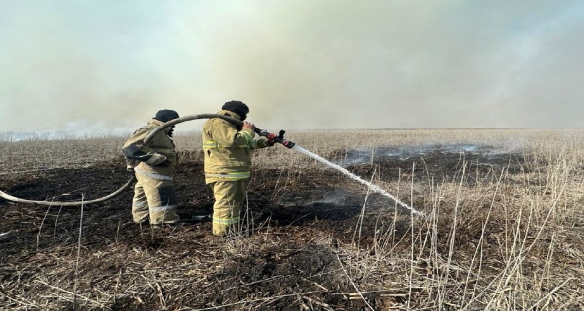 Стало известно о локализации пожара в резервате в Атырауской области