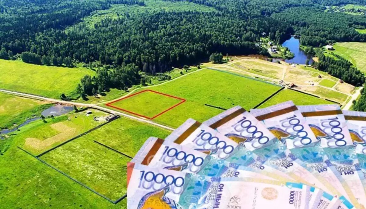 Земельные участки на 100 млн тенге вернули государству в Жетысу