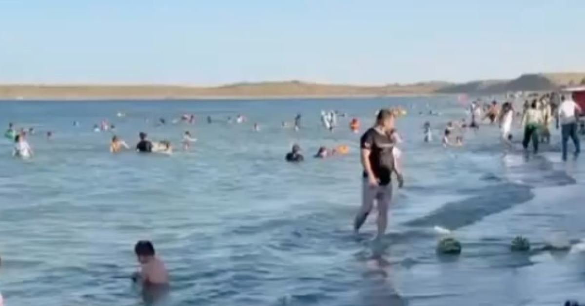 «Сами гадят»: как отдыхают на Шардаринском водохранилище