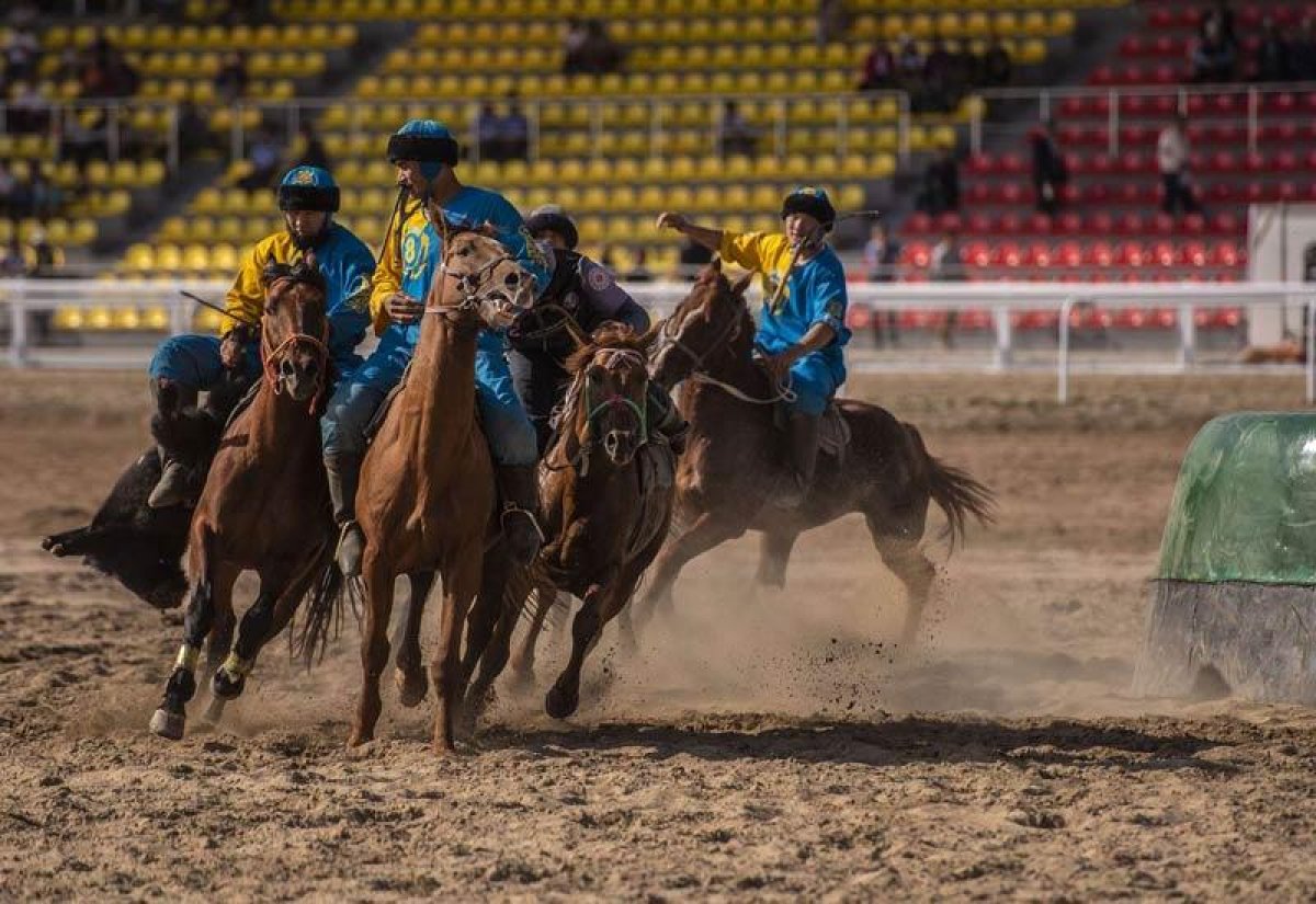 Какие национальные виды спорта приравняли к олимпийским в Казахстане