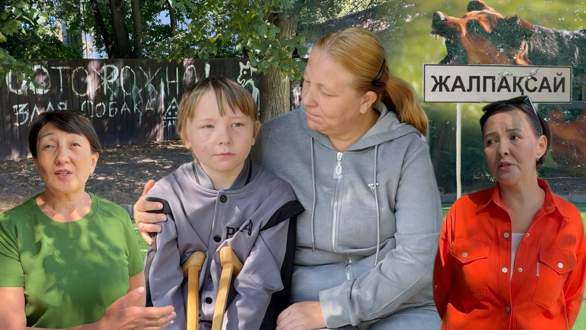 Два месяца спустя: что происходит с делом о нападении собак близ Алматы