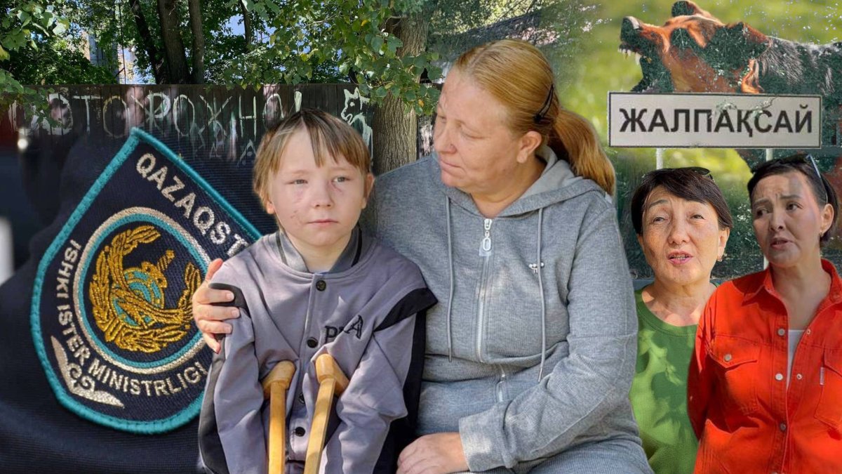 Нападение собак в Алматинской области: как полиция уходит от ответов