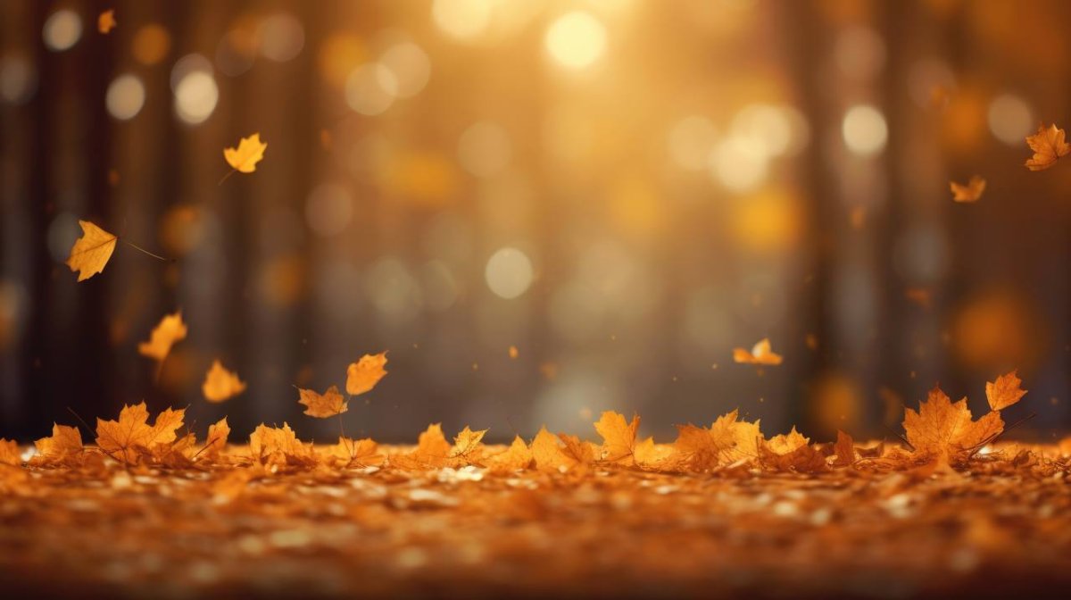 Какая погода будет 29 сентября в Казахстане