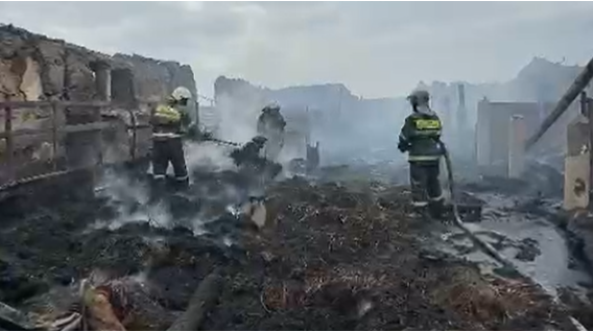 Владелец сгоревшей фермы рассказал подробности гибели шести человек в Павлодарской области