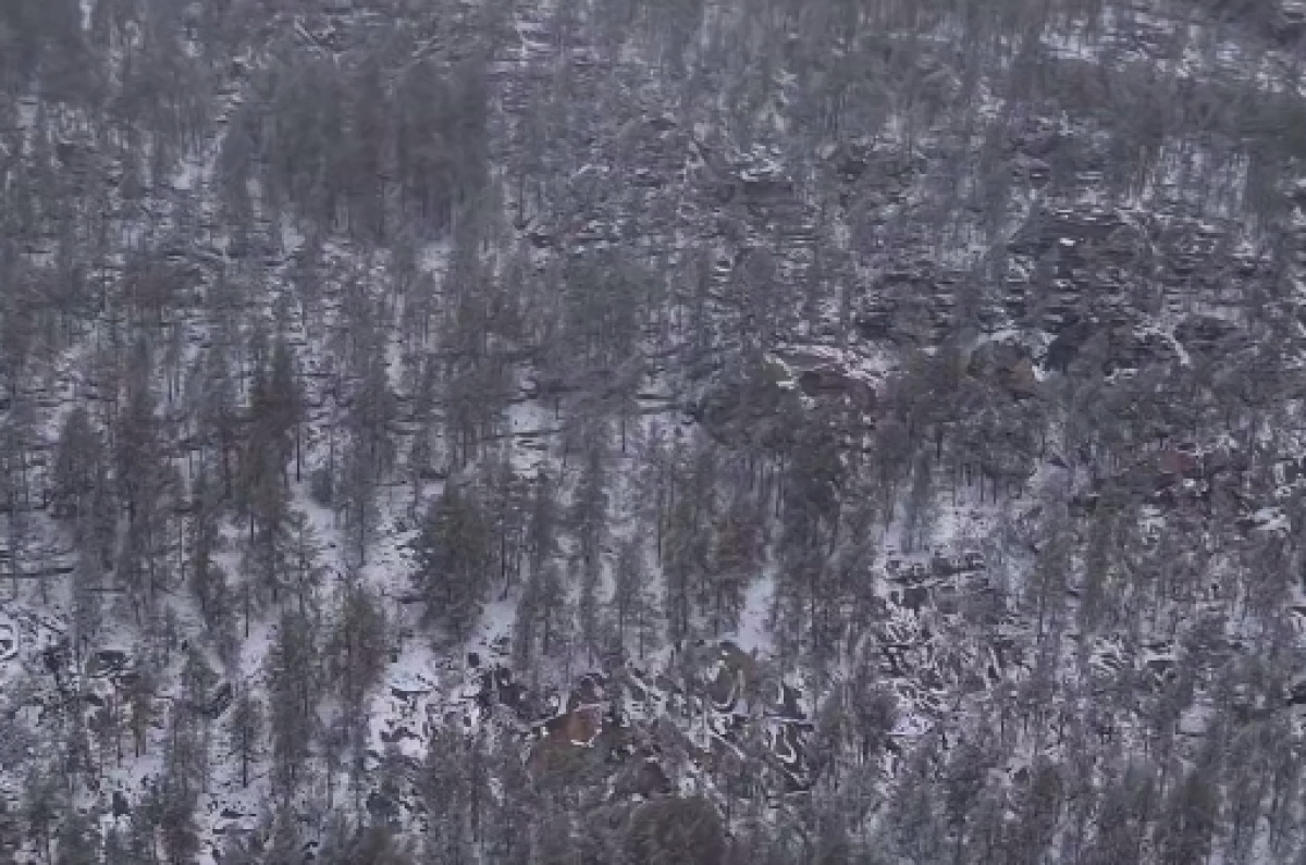 В Карагандинской области нашли заблудившихся туристов с дрона