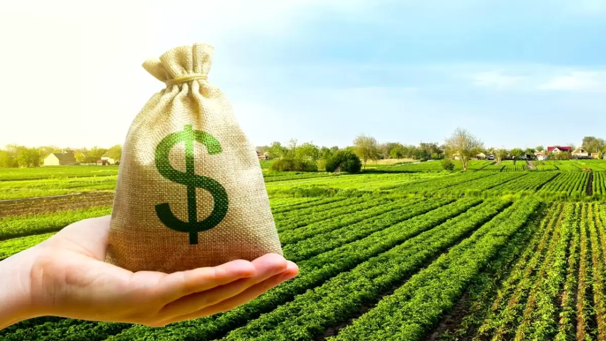 Фермеры Актобе потребовали вернуть списанные миллионы тенге