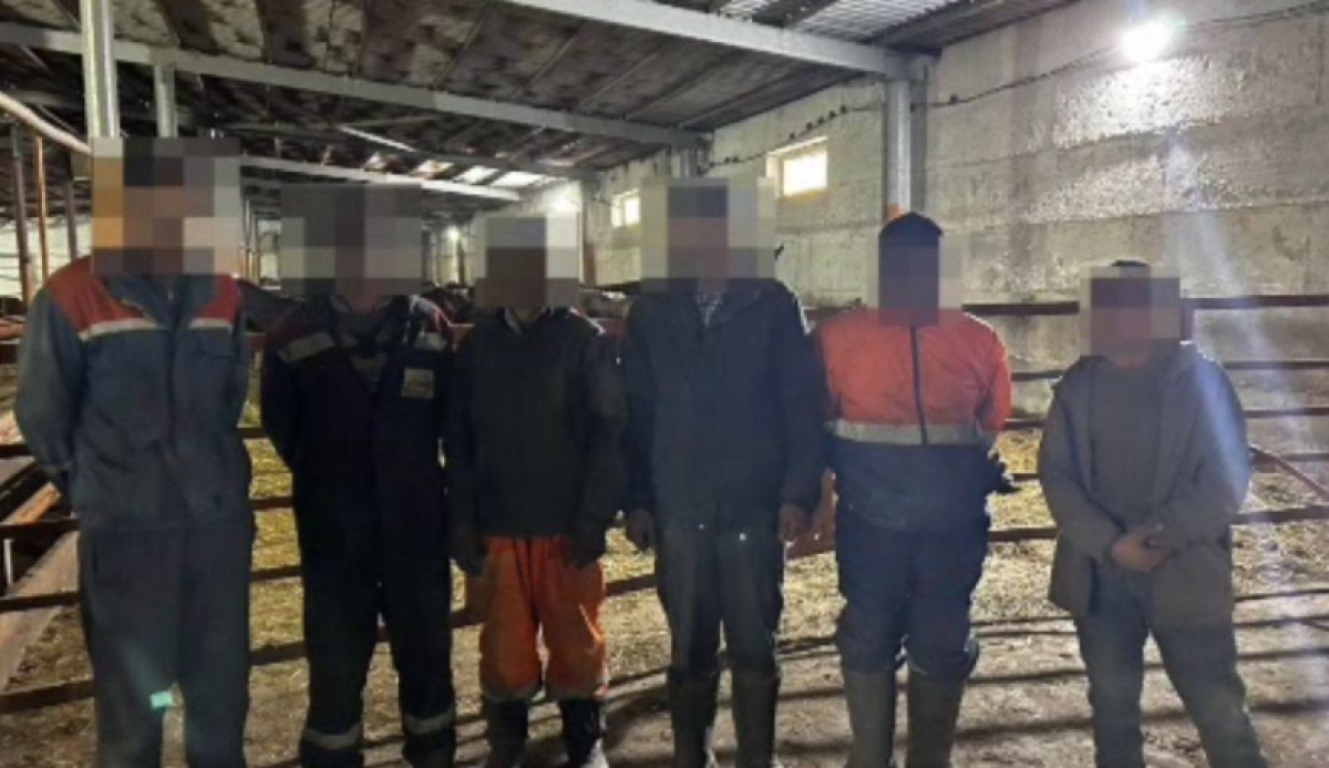 20 нелегальных трудовых мигрантов задержали в Караганде