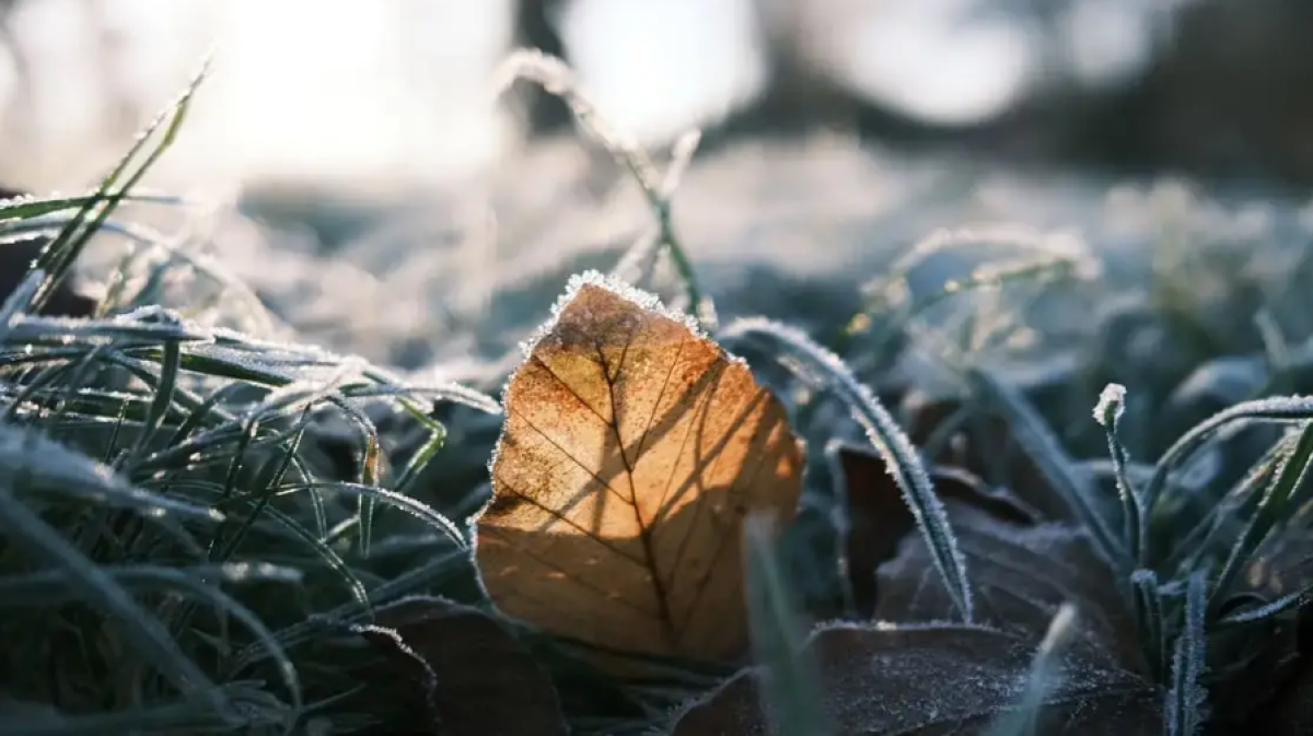 Какой будет погода в Казахстане 20 октября