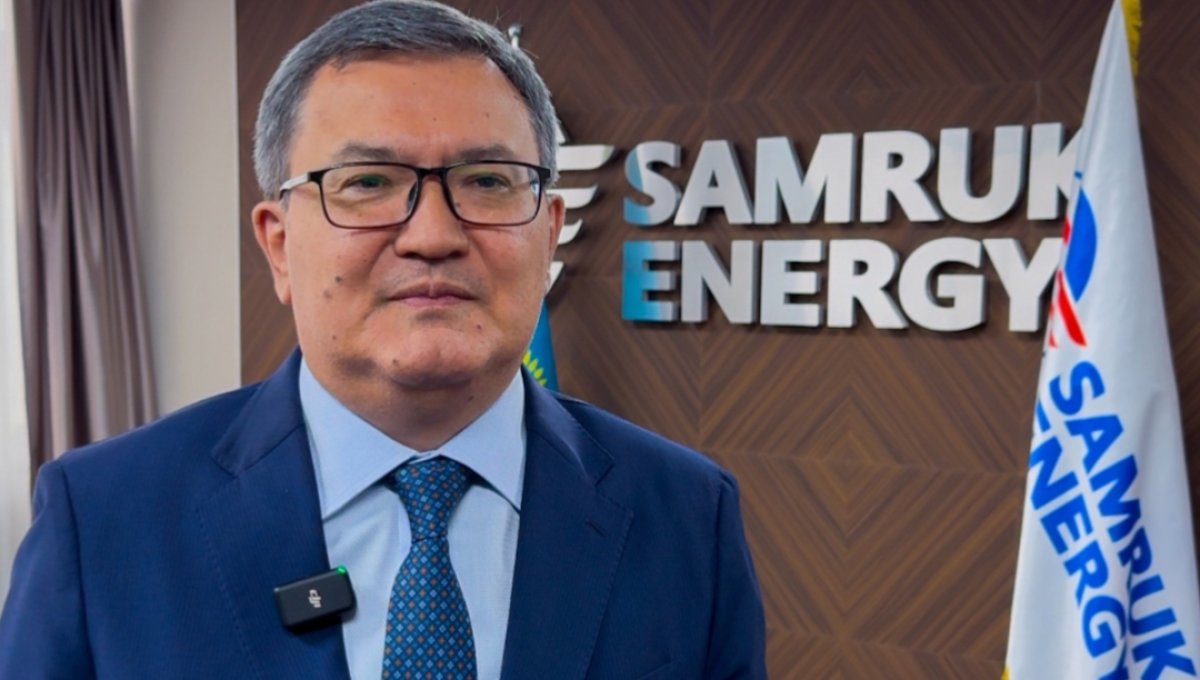 Как глава "Самрук-Энерго" нарвался на замечание премьера и критику экспертов