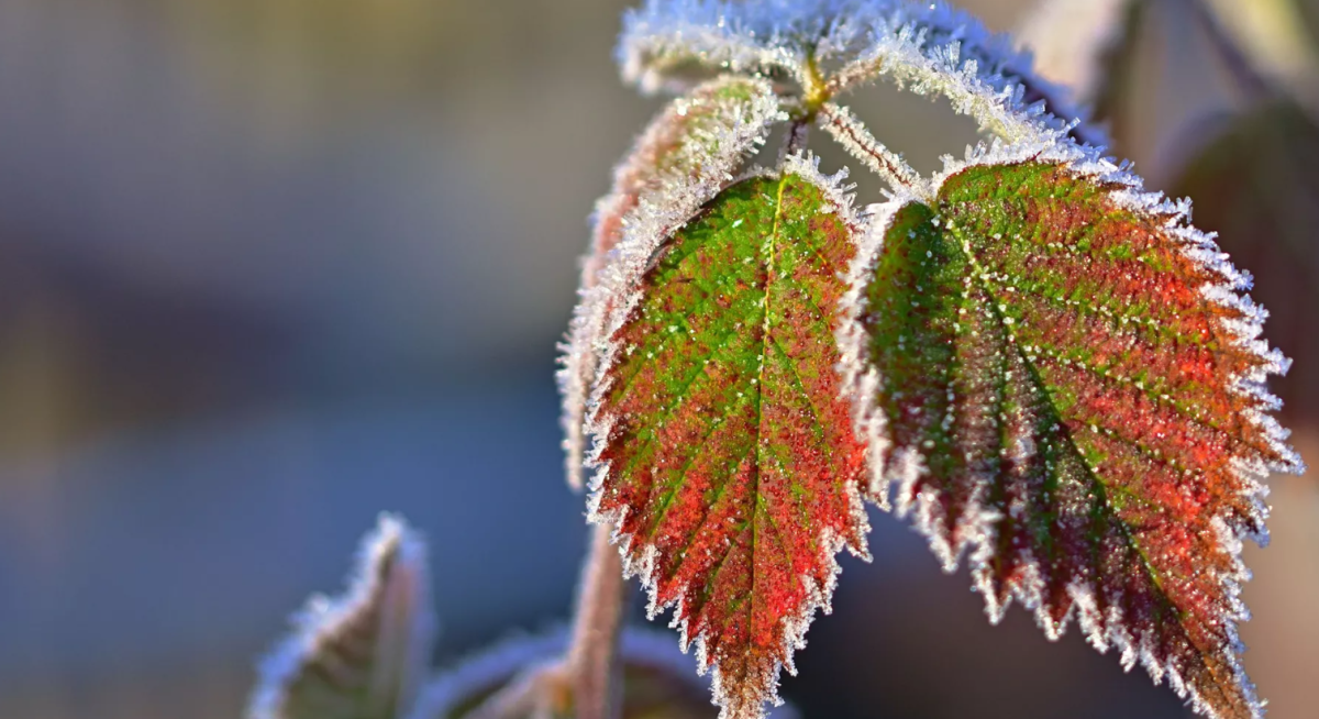 Почти по всему Казахстану объявили штормовое предупреждение