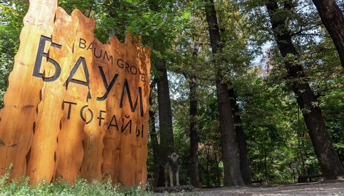 Активисты запускают петицию против действий акимата Алматы