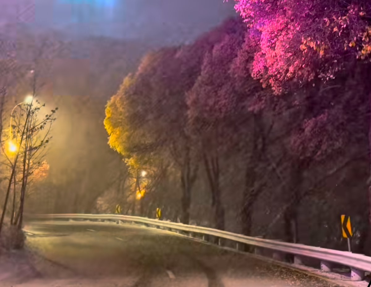 Снегопад пришёл и в Алматы