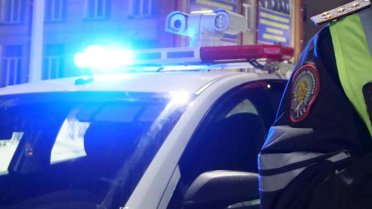 На митинге в Алматинской области сожгли флаг