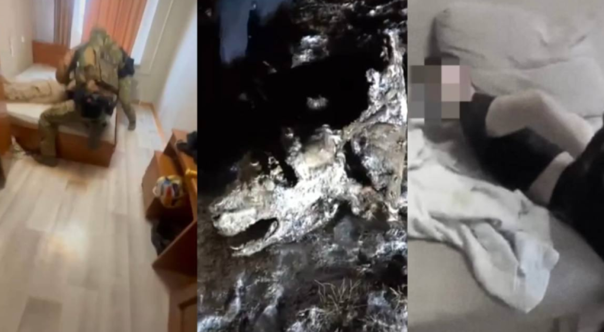 В области Улытау задержали группу скотокрадов