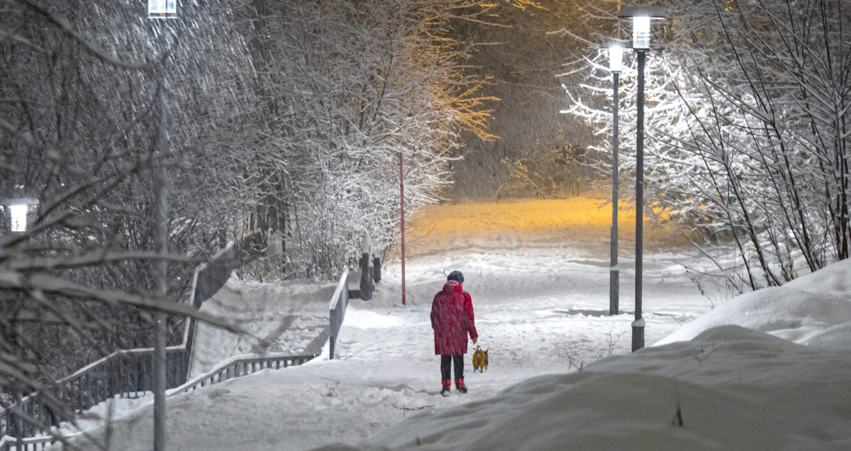 Декабрь 2025 года будет теплее нормы в Казахстане