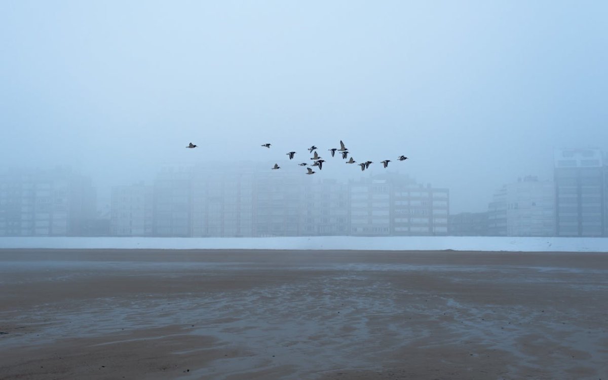 Туман и сильный ветер: синоптики предупредили 17 регионов Казахстана