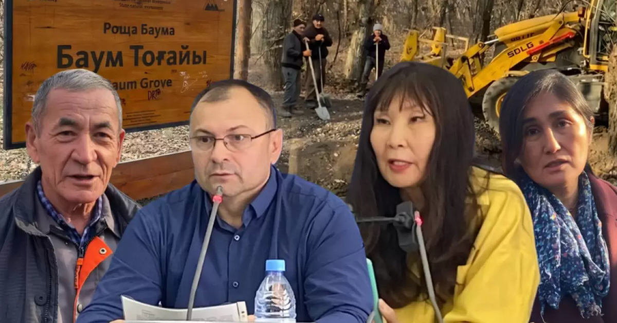 Вырубят ли 10 тысяч деревьев? Что будет с рощей Баума в Алматы