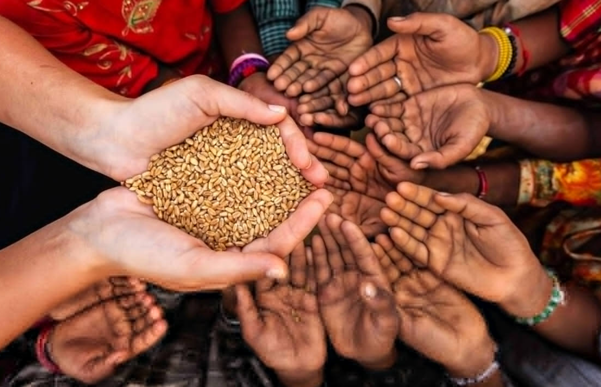 ООН предупредила о росте мирового голода и нехватке ресурсов