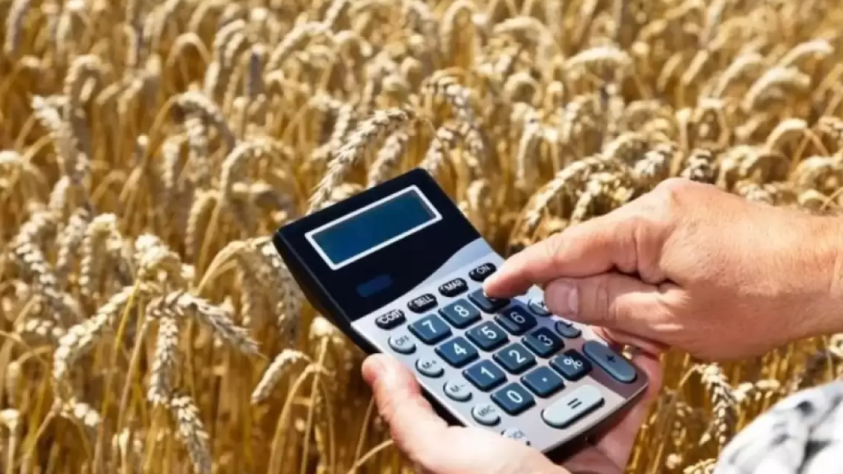 Экспорт казахстанского зерна нового урожая превысил 2,5 млн тонн