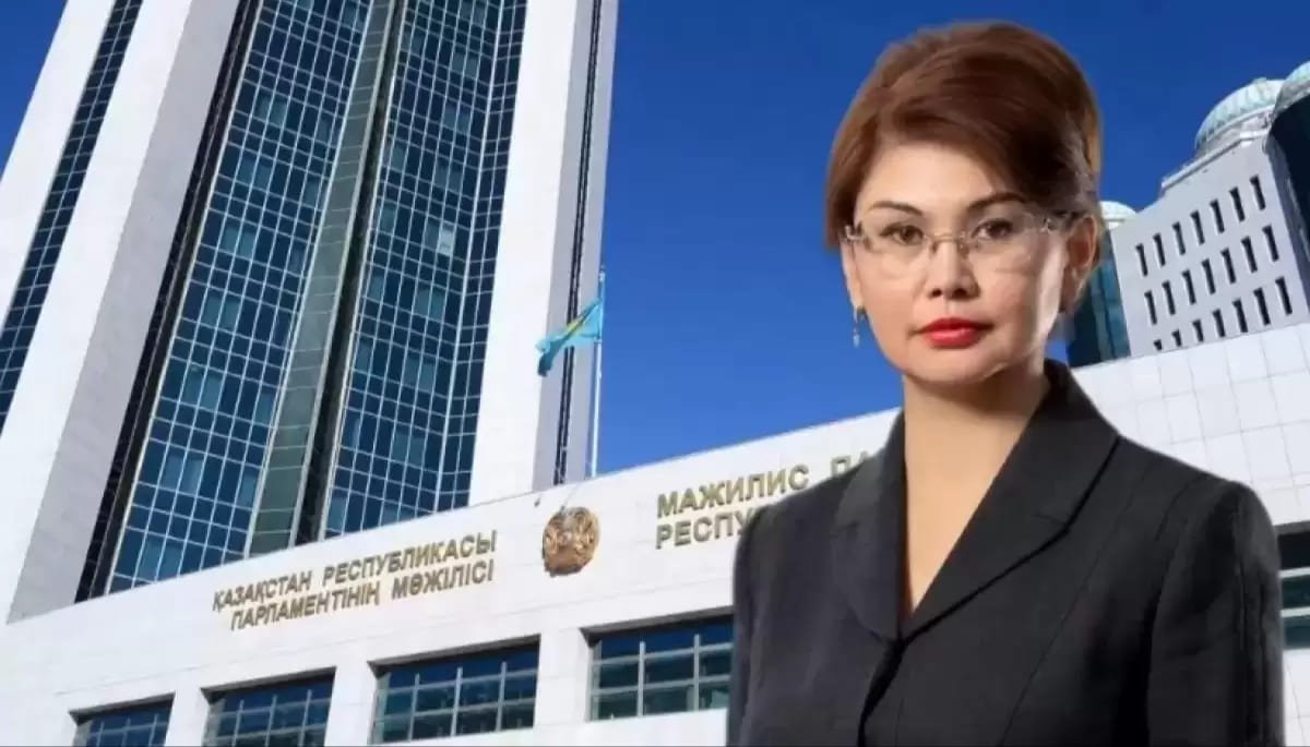 Министр Балаева заступилась за блогера, призывающего бойкотировать концерт Тимати