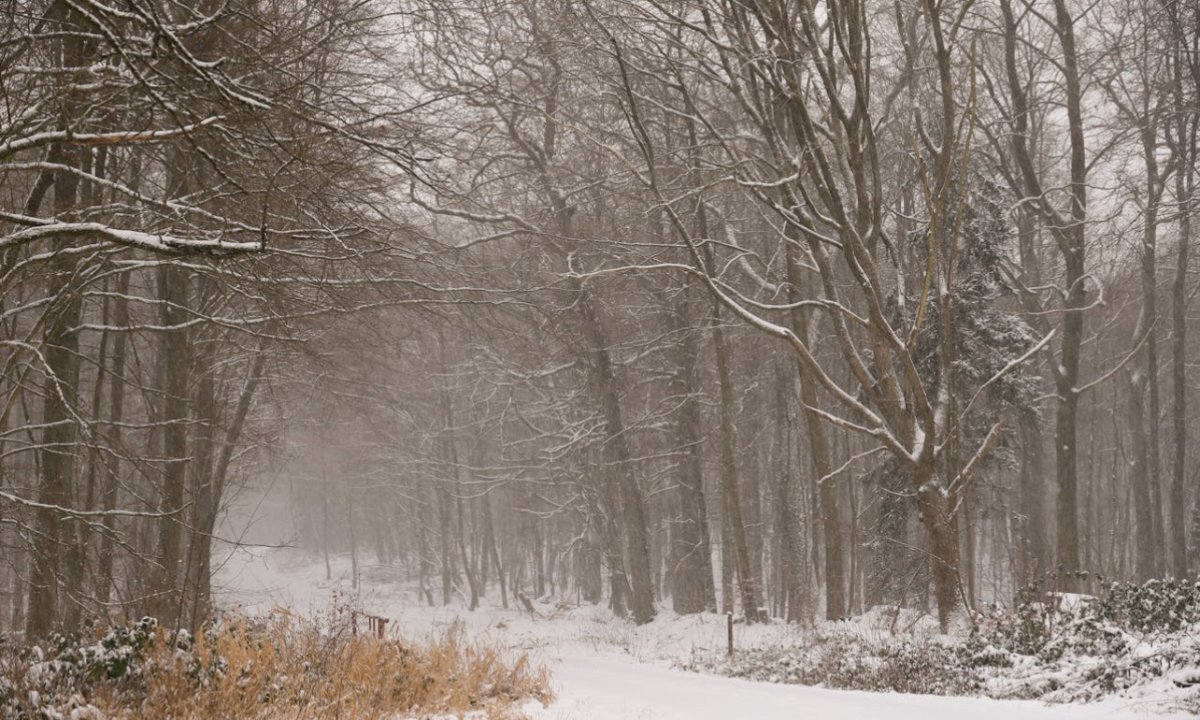 Туман, метель и гололёд: в каких регионах объявили штормовое предупреждение