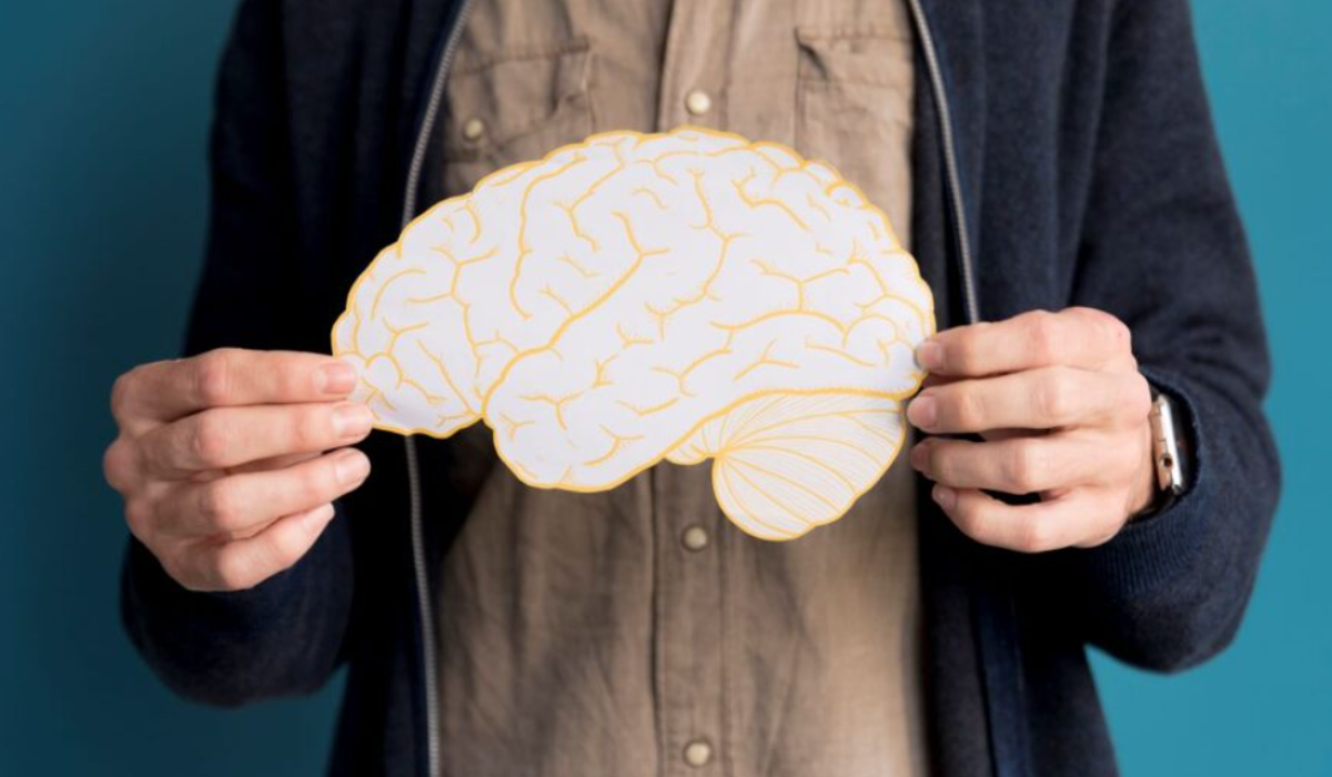 Учёные: мозг остаётся «подростковым» до 32 лет