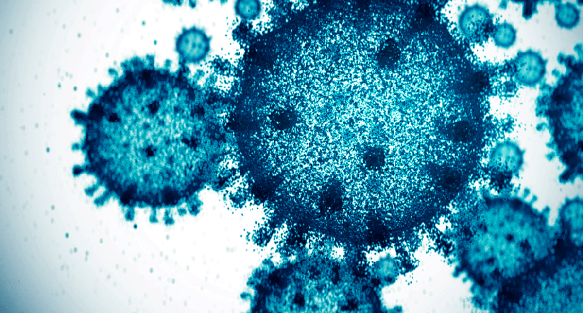 Инфекционисты: птичий грипп может быть опаснее COVID-19