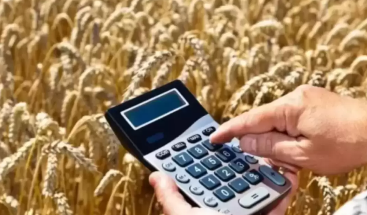 Казахстан увеличил экспорт зерна нового урожая: какие страны покупают