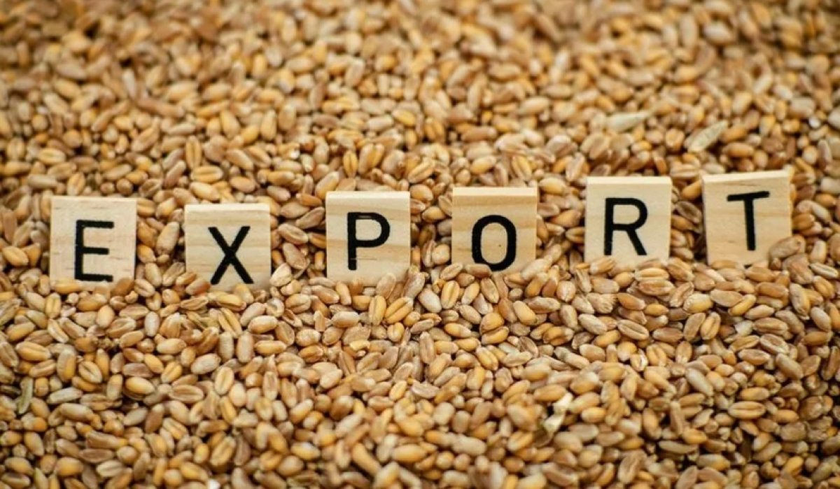 Казахстану прочат исторический рекорд в АПК