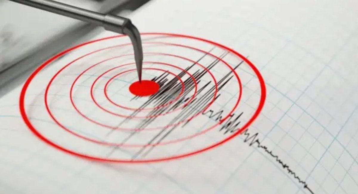 Сильнейшее за год землетрясение произошло на севере Японии