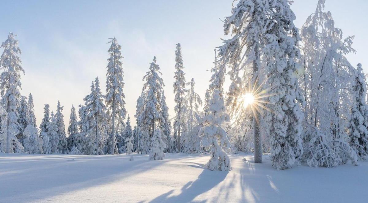 В Астане школьников переводят на дистанционный формат