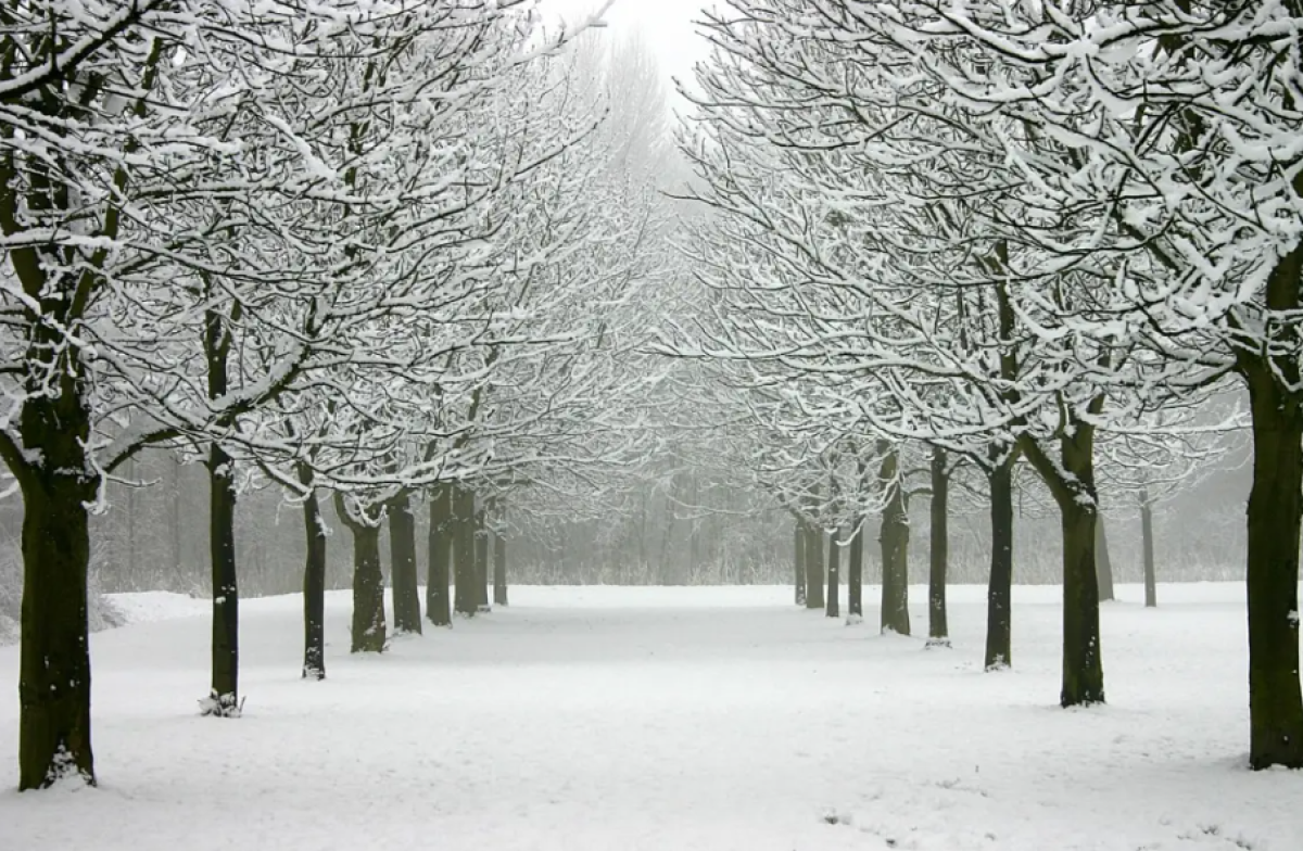 По всему Казахстану объявили штормовое предупреждение