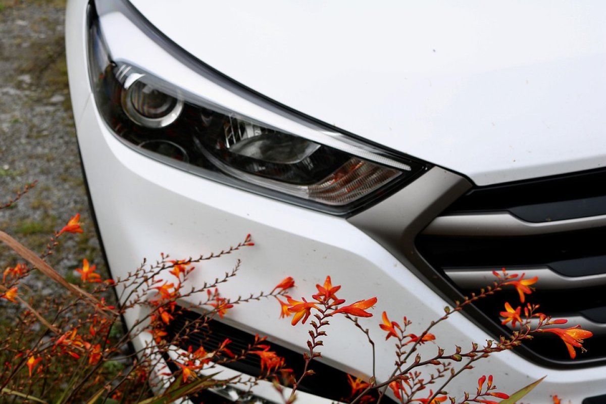 Каждый третий — за рулём: где в Казахстане больше всего автомобилей